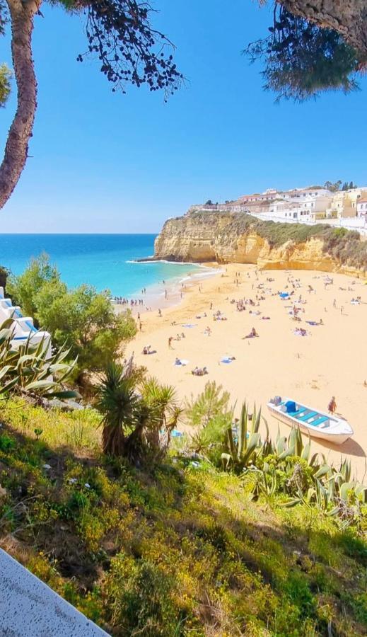 Da Rocha Summer Sea View *